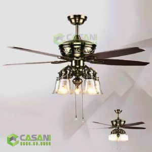 This is the image description